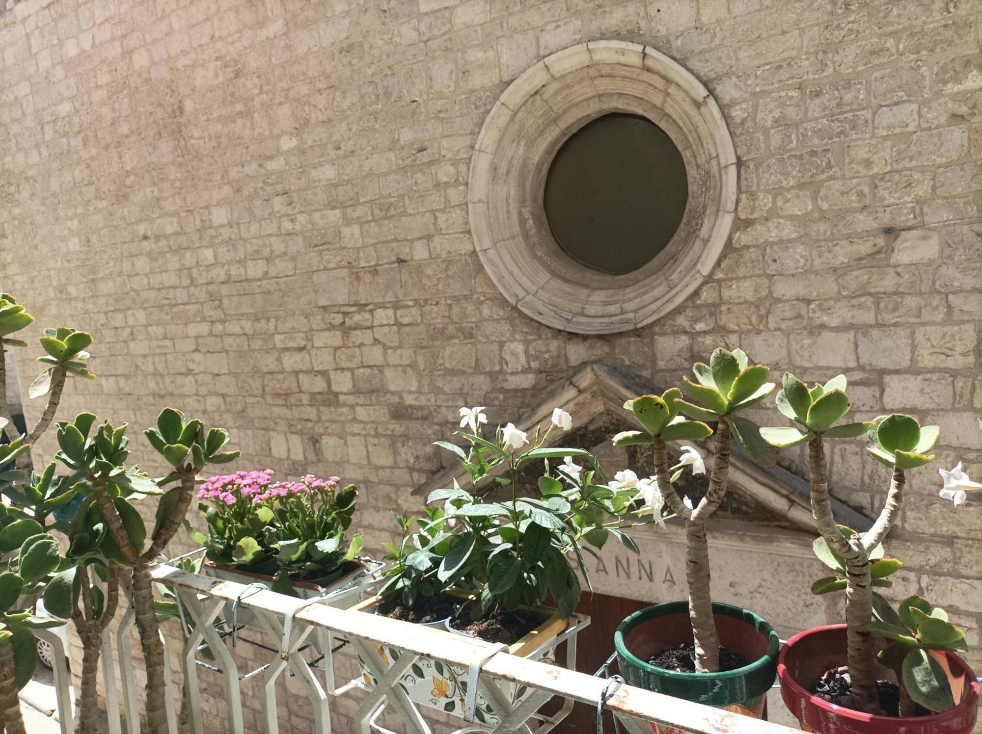 Casa Vacanze Il Geco Trani Exterior photo